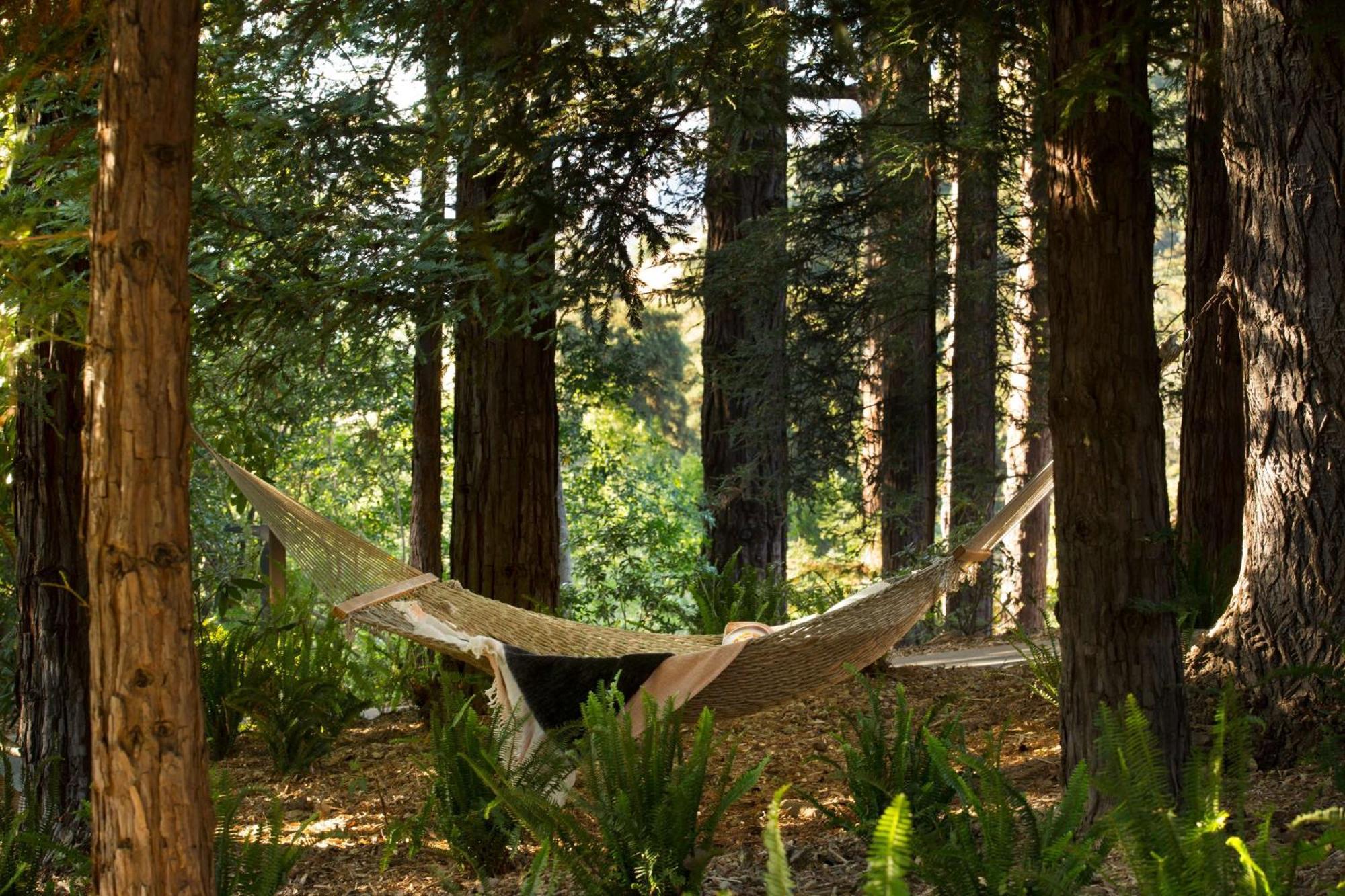 Alila Ventana Big Sur - Inclusive Resort (Adults Only) Dış mekan fotoğraf